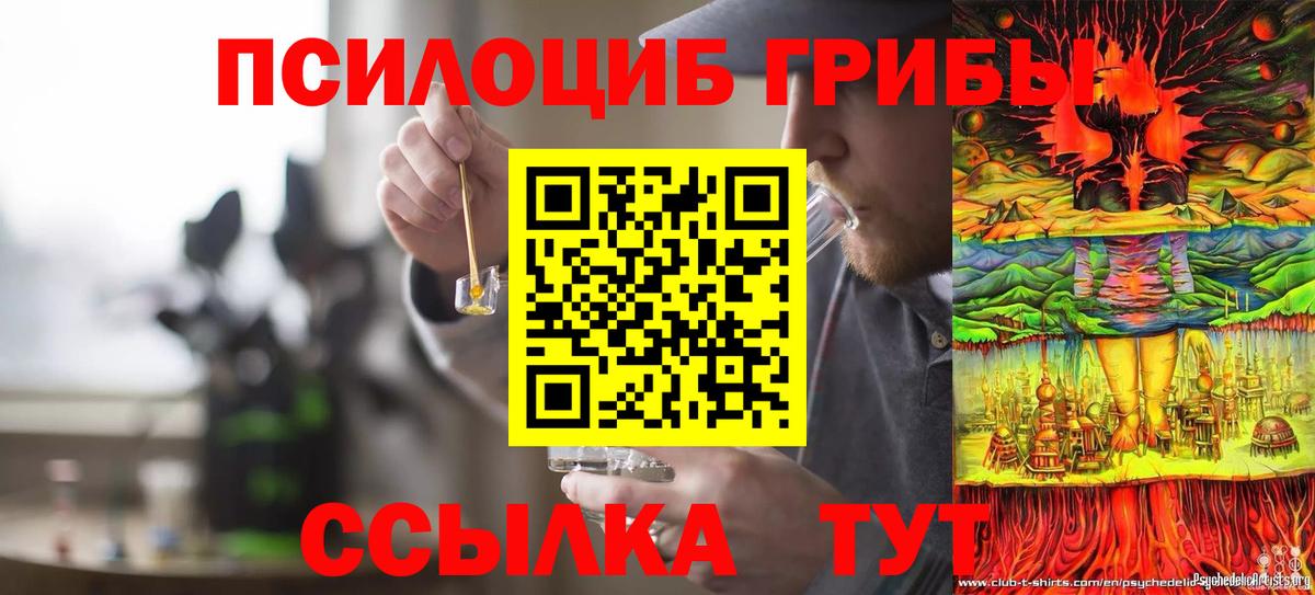 Псилоцибиновые грибы Psilocybe  Вход с VPN  Отрадное 