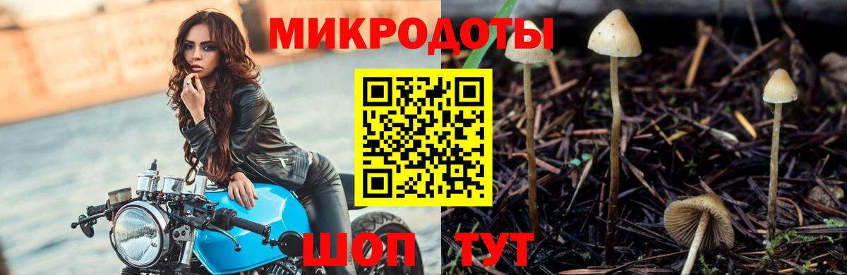 Галлюциногенные грибы мицелий Отрадное
